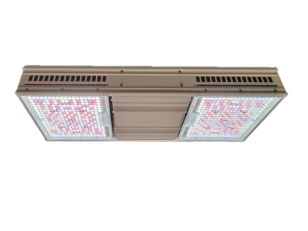 LED products