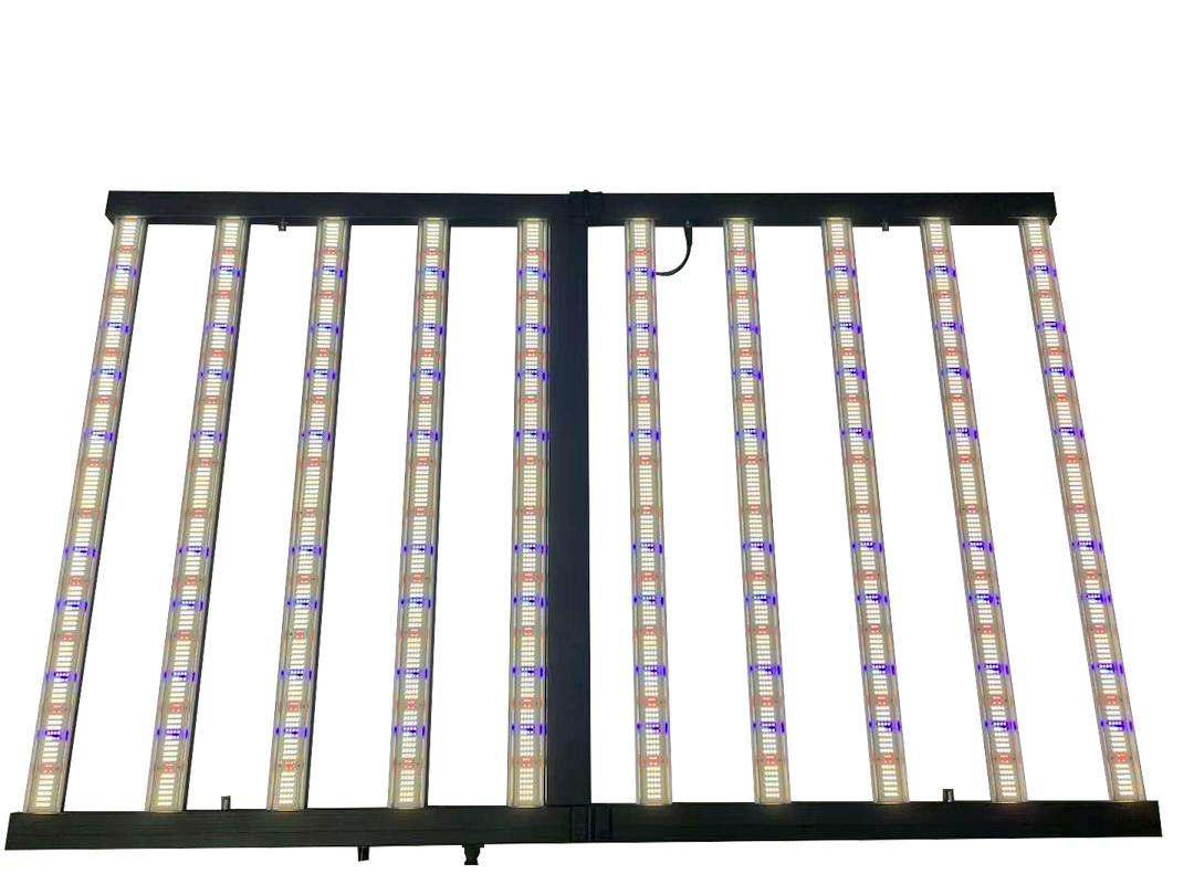 LED