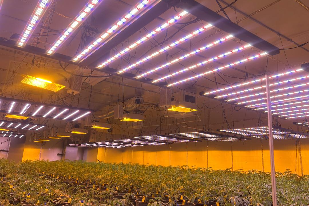 farm grow lights